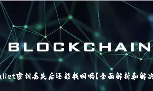 tpWallet密钥丢失后还能找回吗？全面解析和解决方案