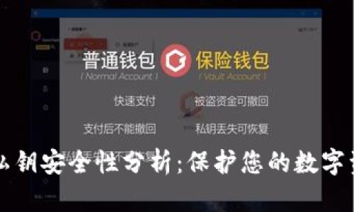 tpWallet的私钥安全性分析：保护您的数字资产的重要性