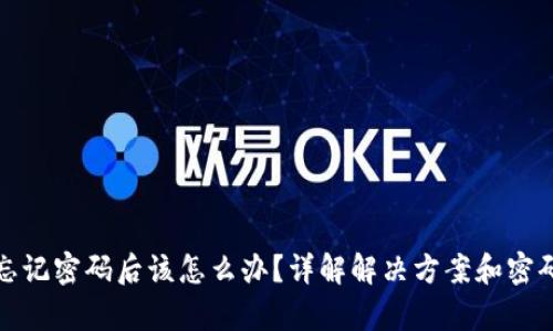 tpWallet忘记密码后该怎么办？详解解决方案和密码重置步骤