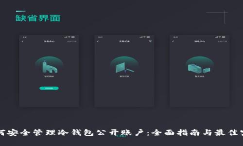 如何安全管理冷钱包公开账户：全面指南与最佳实践