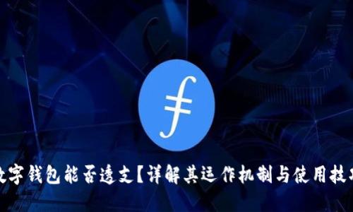 数字钱包能否透支？详解其运作机制与使用技巧