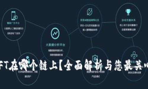 tpWallet NFT在哪个链上？全面解析与您最关心的链的选择