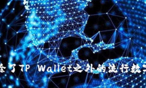 苹果手机除了TP Wallet之外的流行数字钱包推荐
