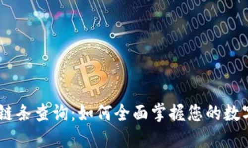 USDT交易链条查询：如何全面掌握您的数字资产流动
