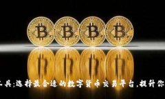 USDT交易工具：选择最合适的数字货币交易平台，