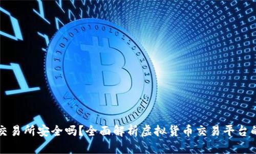虚拟币交易所安全吗？全面解析虚拟货币交易平台的安全性