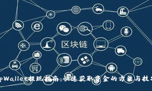 tpWallet提现指南：快速获取资金的方法与技巧