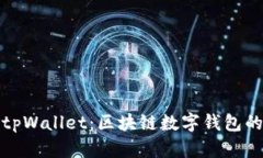 全面了解tpWallet：区块链数字钱包的未来之钥