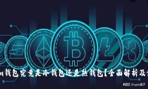 Token.im钱包究竟是冷钱包还是热钱包？全面解析及使用指南
