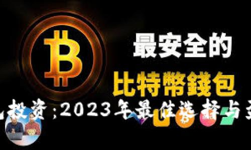 riaoti冷钱包投资：2023年最佳选择与盈利潜力分析