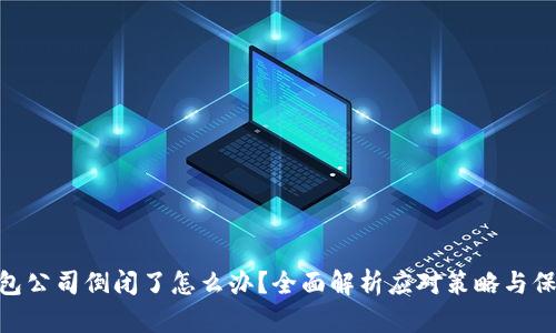 硬件钱包公司倒闭了怎么办？全面解析应对策略与保障措施
