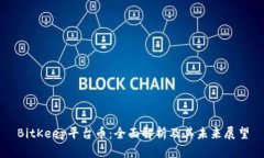 BitKeep平台币：全面解析及其未来展望