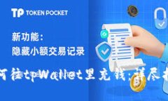 人民币如何往tpWallet里充钱：详尽指南与技巧