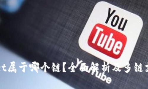 tpWallet属于哪个链？全面解析及多链支持介绍