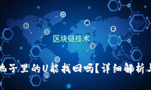 tpWallet池子里的U能找回吗？详细解析与解决方案