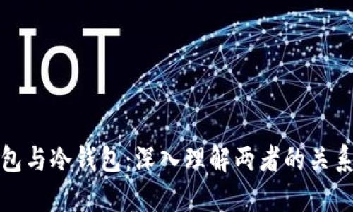 硬件钱包与冷钱包：深入理解两者的关系与应用