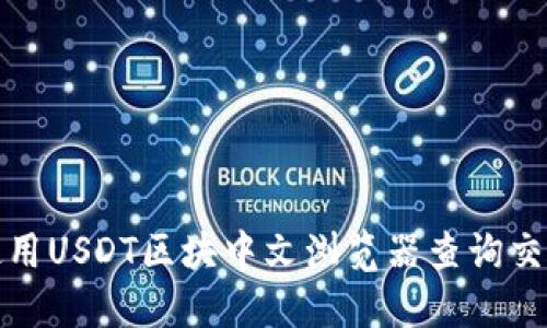 如何使用USDT区块中文浏览器查询交易信息