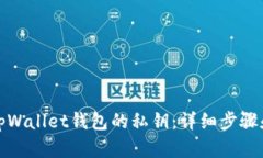 如何找回tpWallet钱包的私钥：详细步骤和解决方案