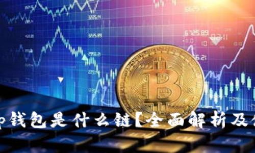 Uniswap钱包是什么链？全面解析及使用指南