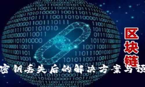 冷钱包密钥丢失后的解决方案与预防措施