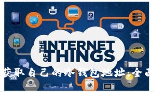 如何获取自己的冷钱包地址：全面指南