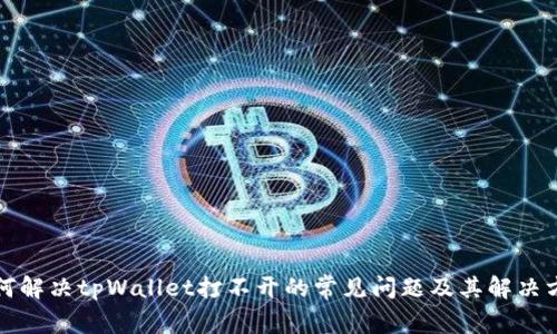 如何解决tpWallet打不开的常见问题及其解决方法