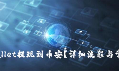 如何将tpWallet提现到币安？详细流程与常见问题解答