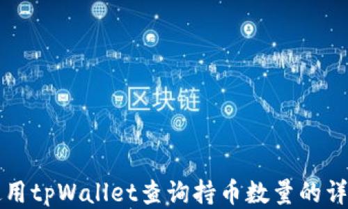 
如何使用tpWallet查询持币数量的详细指南