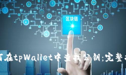 如何在tpWallet中查找公钥：完整指南