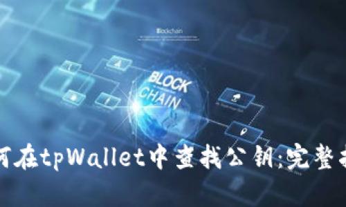如何在tpWallet中查找公钥：完整指南