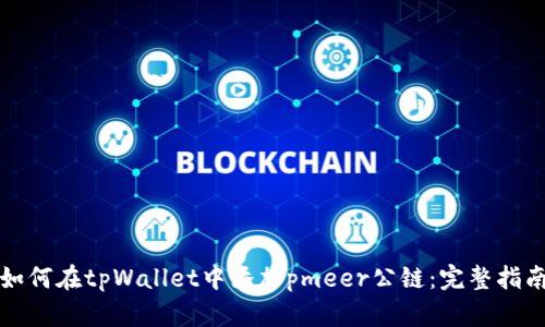 如何在tpWallet中添加pmeer公链：完整指南