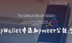 如何在tpWallet中添加pmeer公链：完整指南