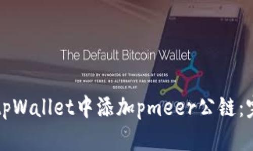 如何在tpWallet中添加pmeer公链：完整指南