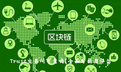 Trust交易所可靠吗？全面分析与评估