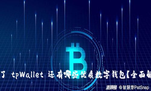 除了 tpWallet 还有哪些优质数字钱包？全面解析