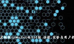 深度剖析tpWallet的BSC链：功能、优势与用户指南