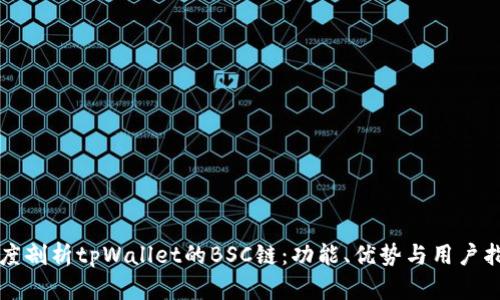 深度剖析tpWallet的BSC链：功能、优势与用户指南