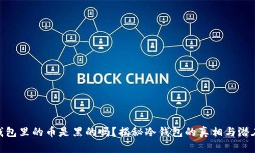 : 冷钱包里的币是黑的吗？揭秘冷钱包的真相与潜在风险