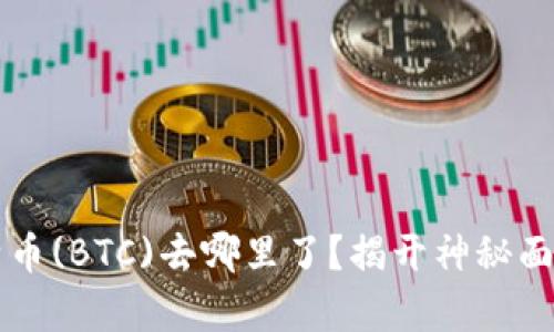 中本聪挖的比特币(BTC)去哪里了？揭开神秘面纱的真相与分析