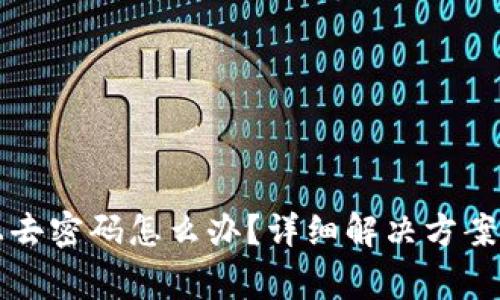 冷钱包输入不上去密码怎么办？详细解决方案与常见问题解析