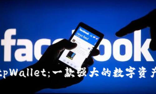 全面解析tpWallet：一款强大的数字资产管理工具