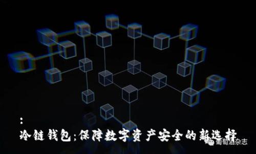:
冷链钱包：保障数字资产安全的新选择