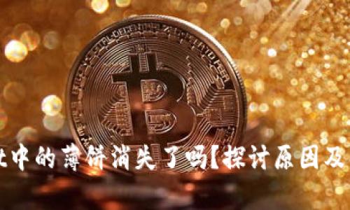 tpWallet中的薄饼消失了吗？探讨原因及解决方案