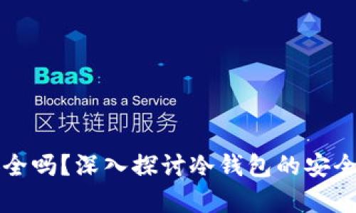 库盾冷钱包安全吗？深入探讨冷钱包的安全性及最佳实践