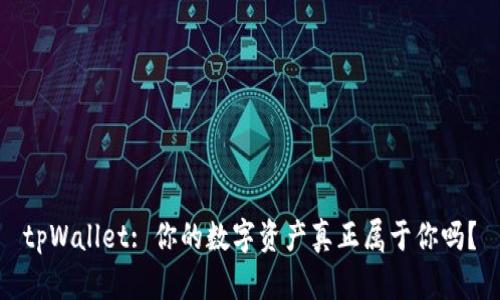 tpWallet: 你的数字资产真正属于你吗？